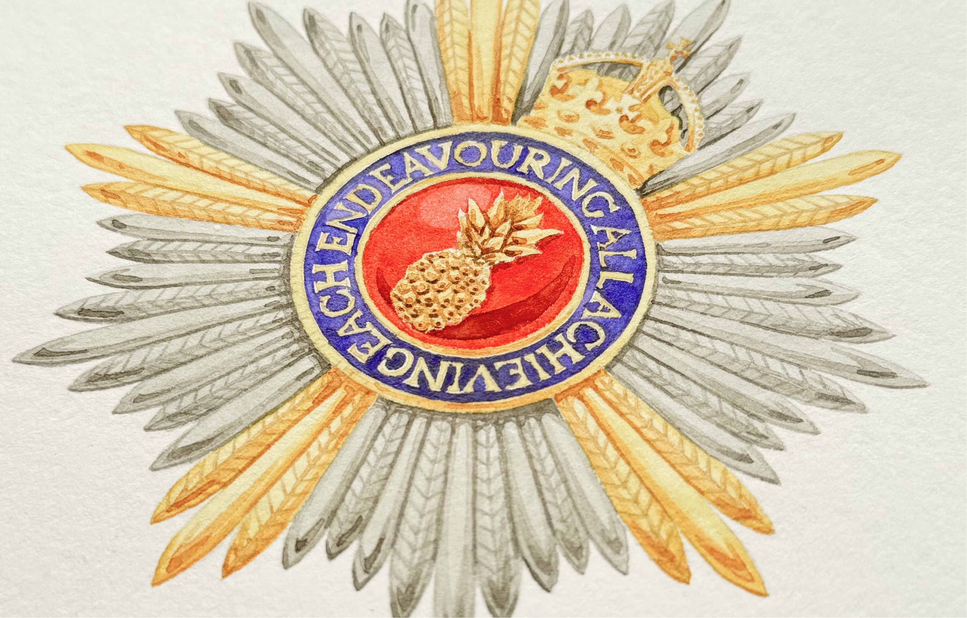 Order Insignia Designs Collage